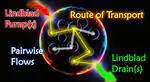 Routes of Transport in the Path Integral Lindblad Dynamics through State-to-State Analysis